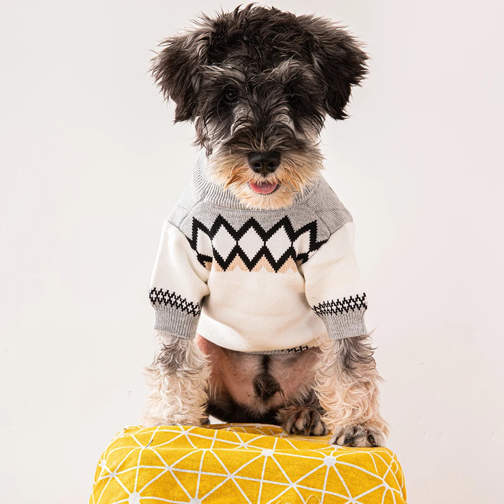 Designer Dog Sweater