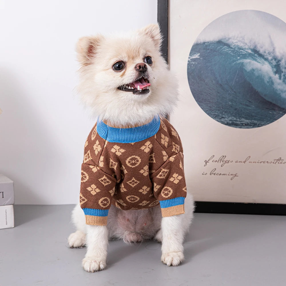 Designer dog jumper