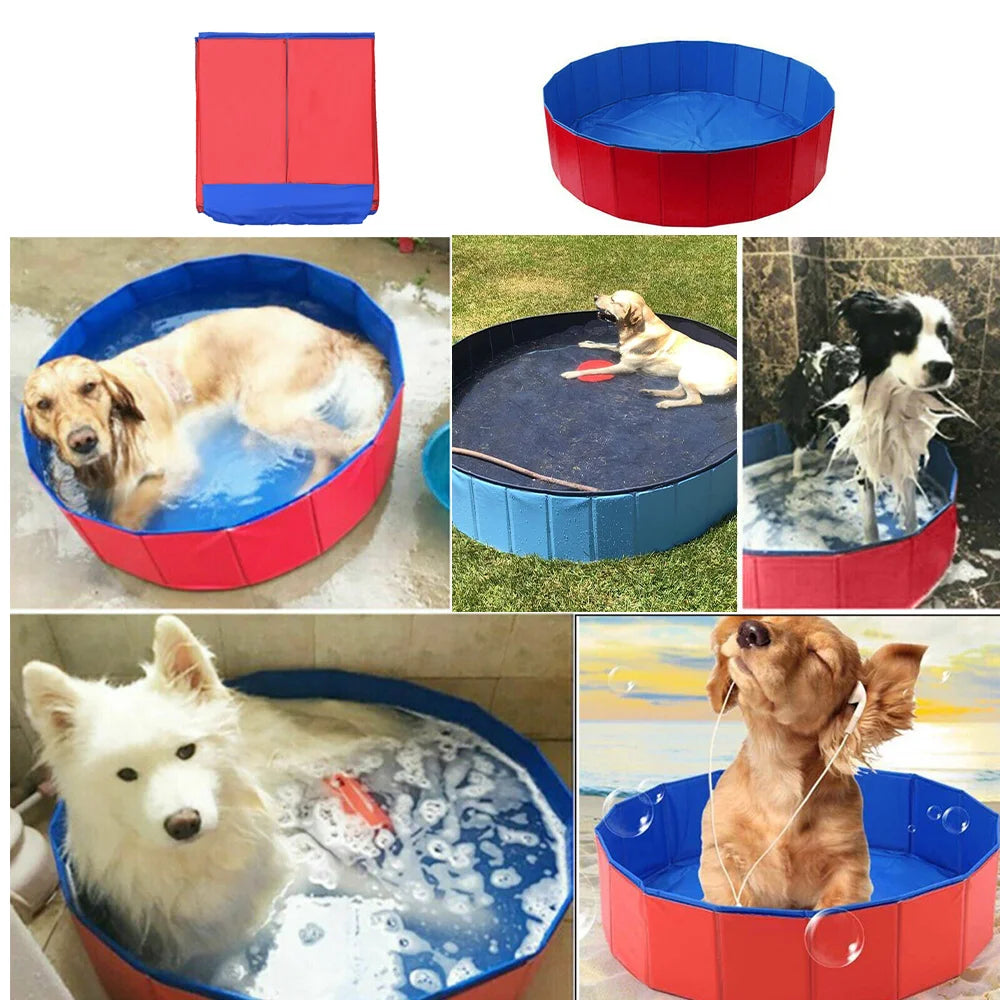 Pet swimming pool, perfect for the summer!