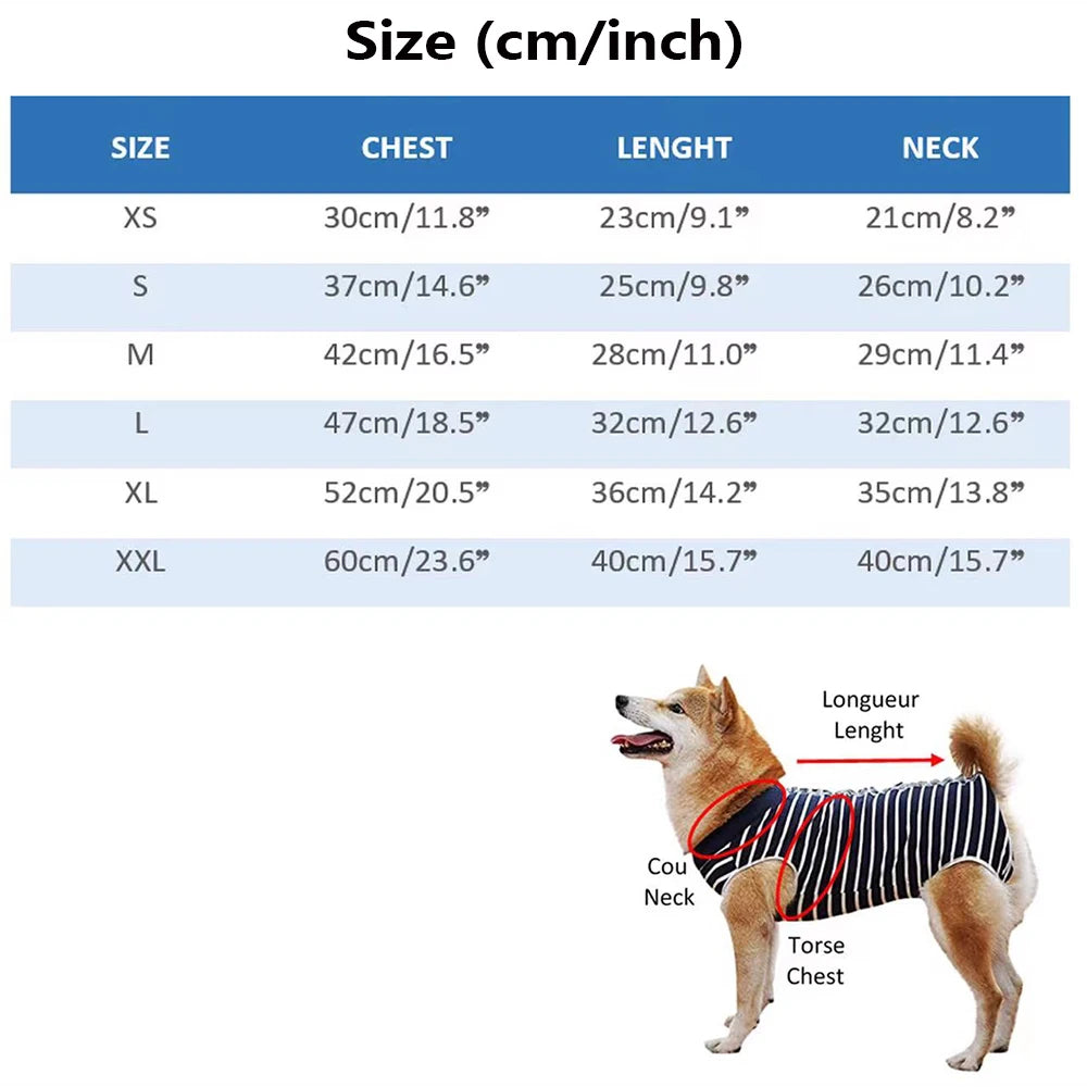 Autumn and Winter Designer Dog Sweater Fashion New Soft and Comfortable Material High Elasticity
