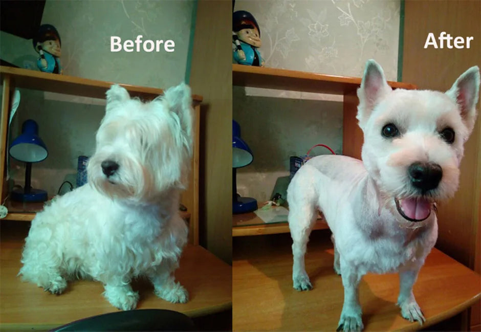 Professional Dog Hair Clipper All Metal Rechargeable Pet Trimmer Shaver Cutting Machine Puppy Grooming Haircut Low Noise