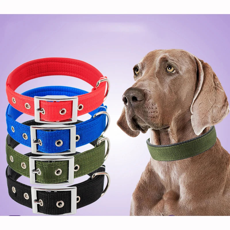 Solid Dog Collars  Nylon Dog Collar For Small Medium Large Dogs