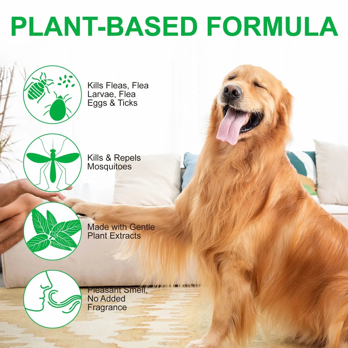 100ml Natural Pet Care Topical Flea & Tick Spray for Dog with Fresh Fragrance Peppermint Oil and Eugenol