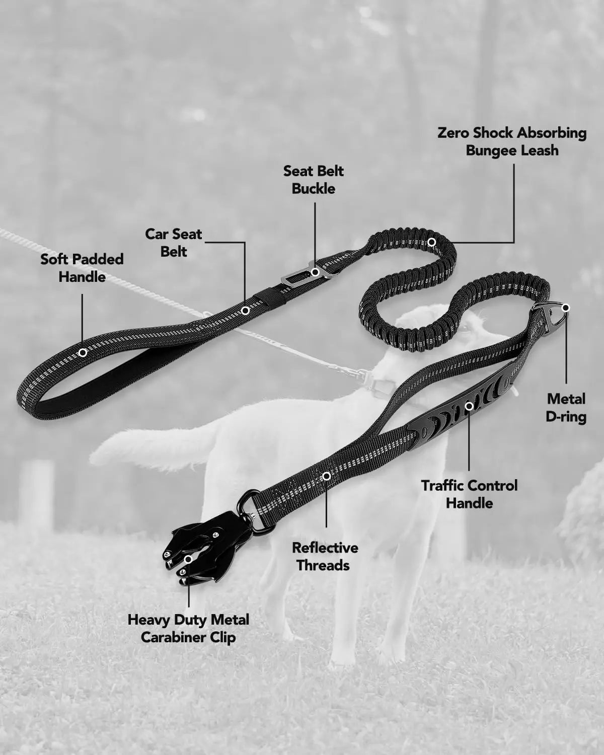 Heavy Duty Dog Lead with Elastic Bungee for Medium & Large Dogs - Shock Absorption & Safety Clip Included