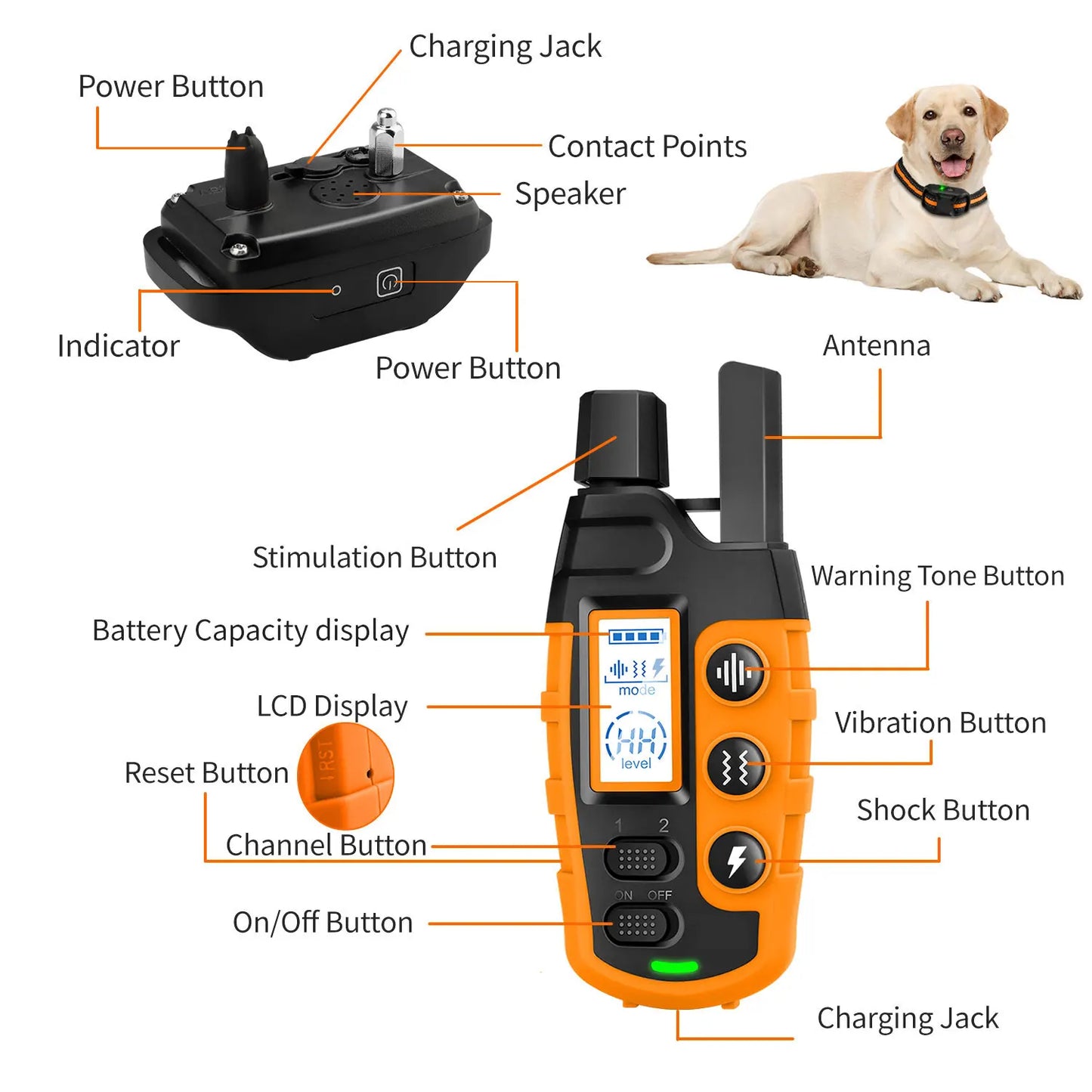 Electric Dog Training Collar Remote Control Waterproof Pet Behaviour For 5-120lbs Puppy With Shock Vibration 3300ft range