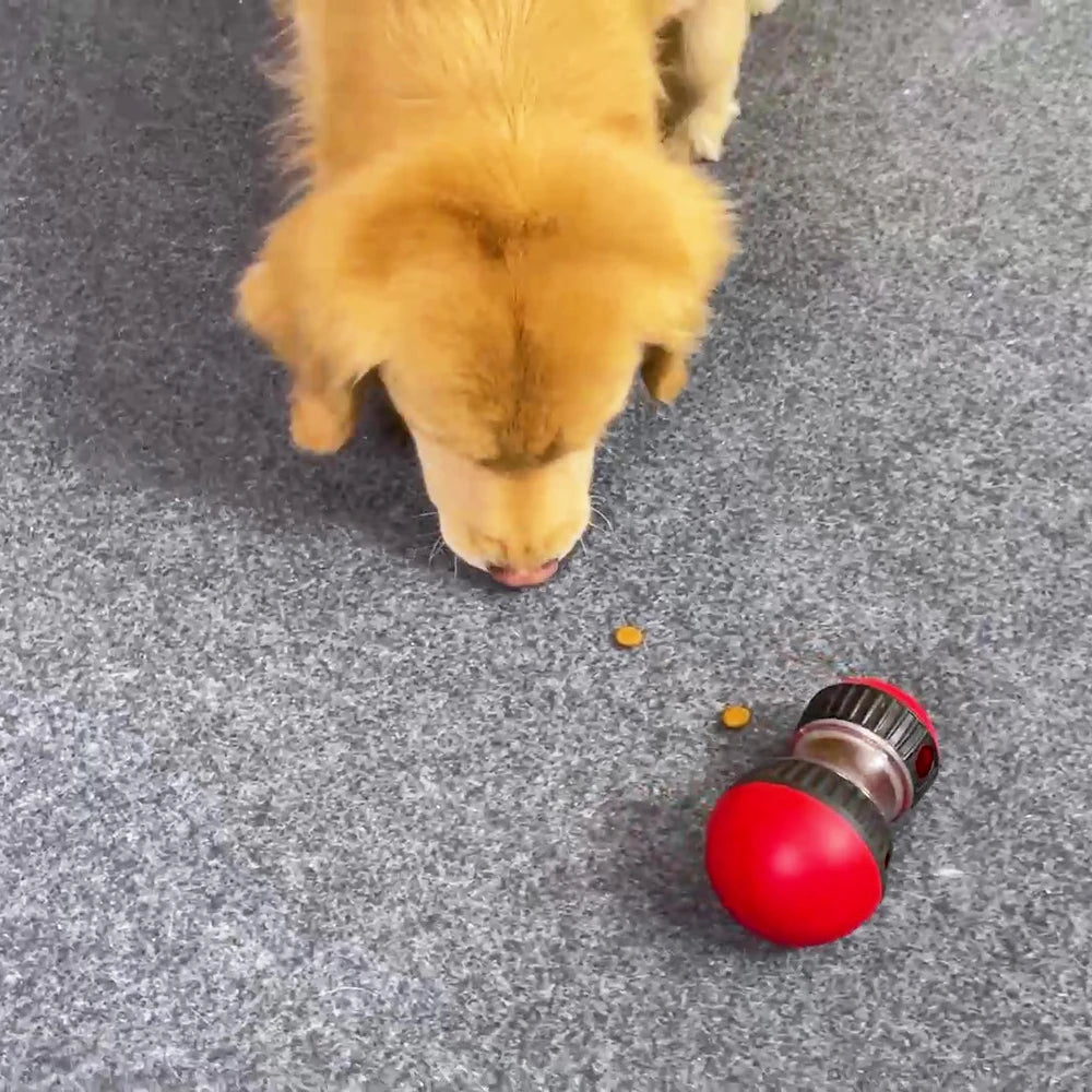 Dog Toy For Small Medium Large Dogs Slow Feeder Pet Improve IQ Indoor Training