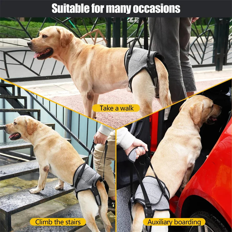 Rear leg support harness Adjustable Dog Lift Harness, soft and padded