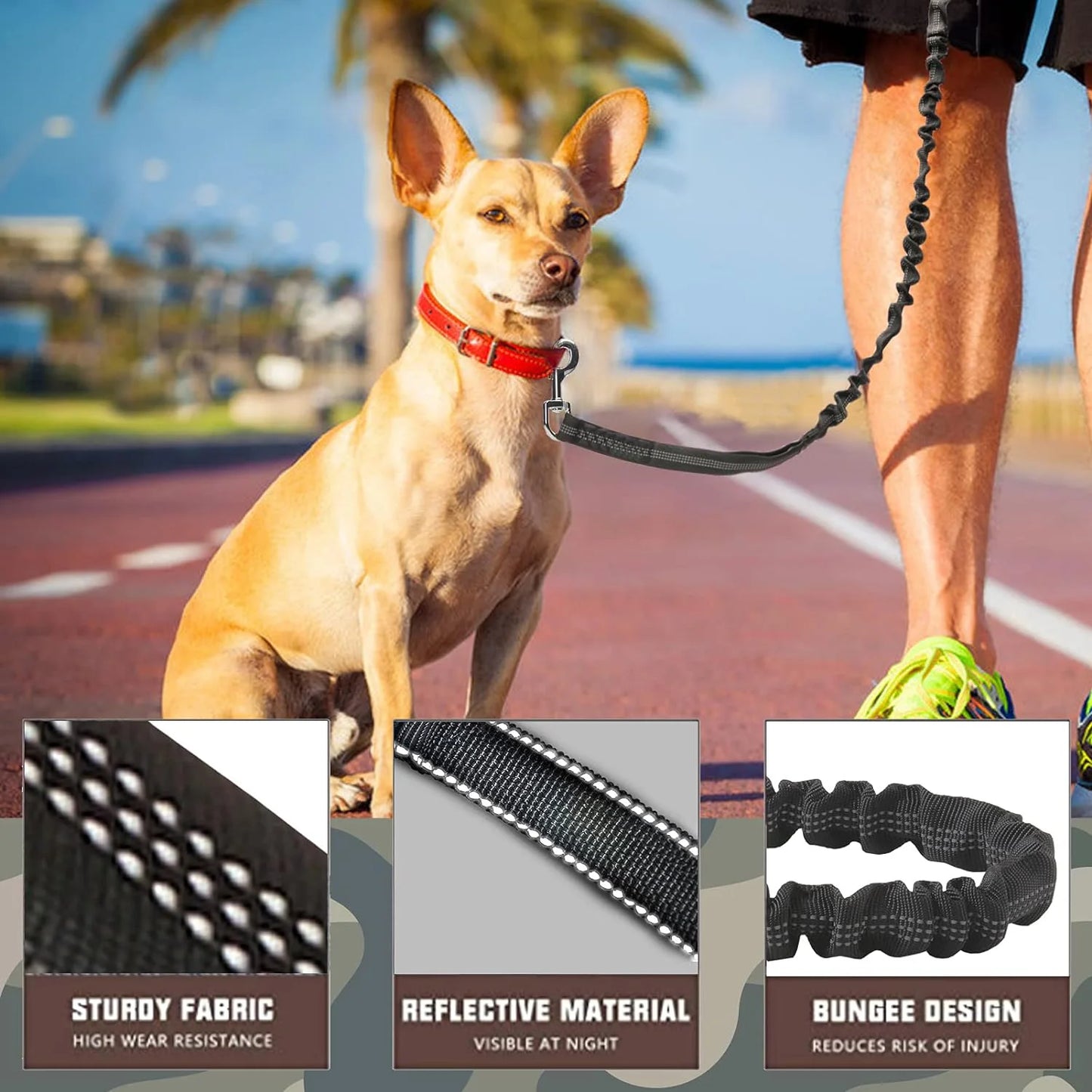 No Pull Dog Lead for Shock Absorption, Dog Training Lead