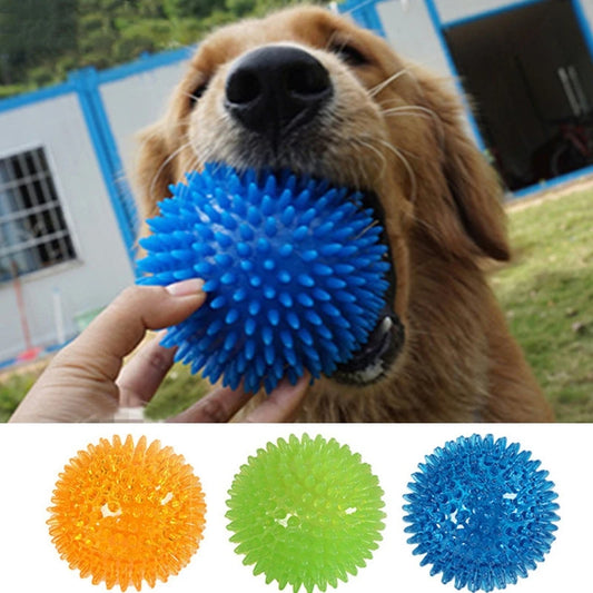 Squeaky Tooth Cleaning Ball
