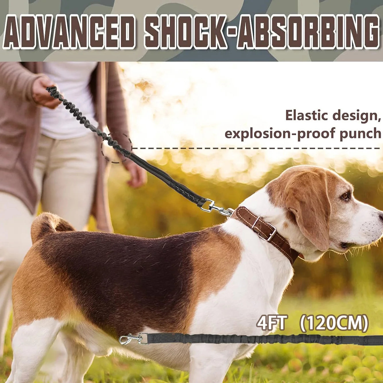 No Pull Dog Lead for Shock Absorption, Dog Training Lead