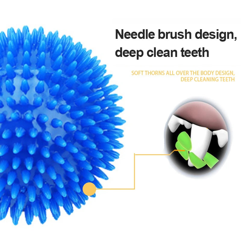 Squeaky Tooth Cleaning Ball
