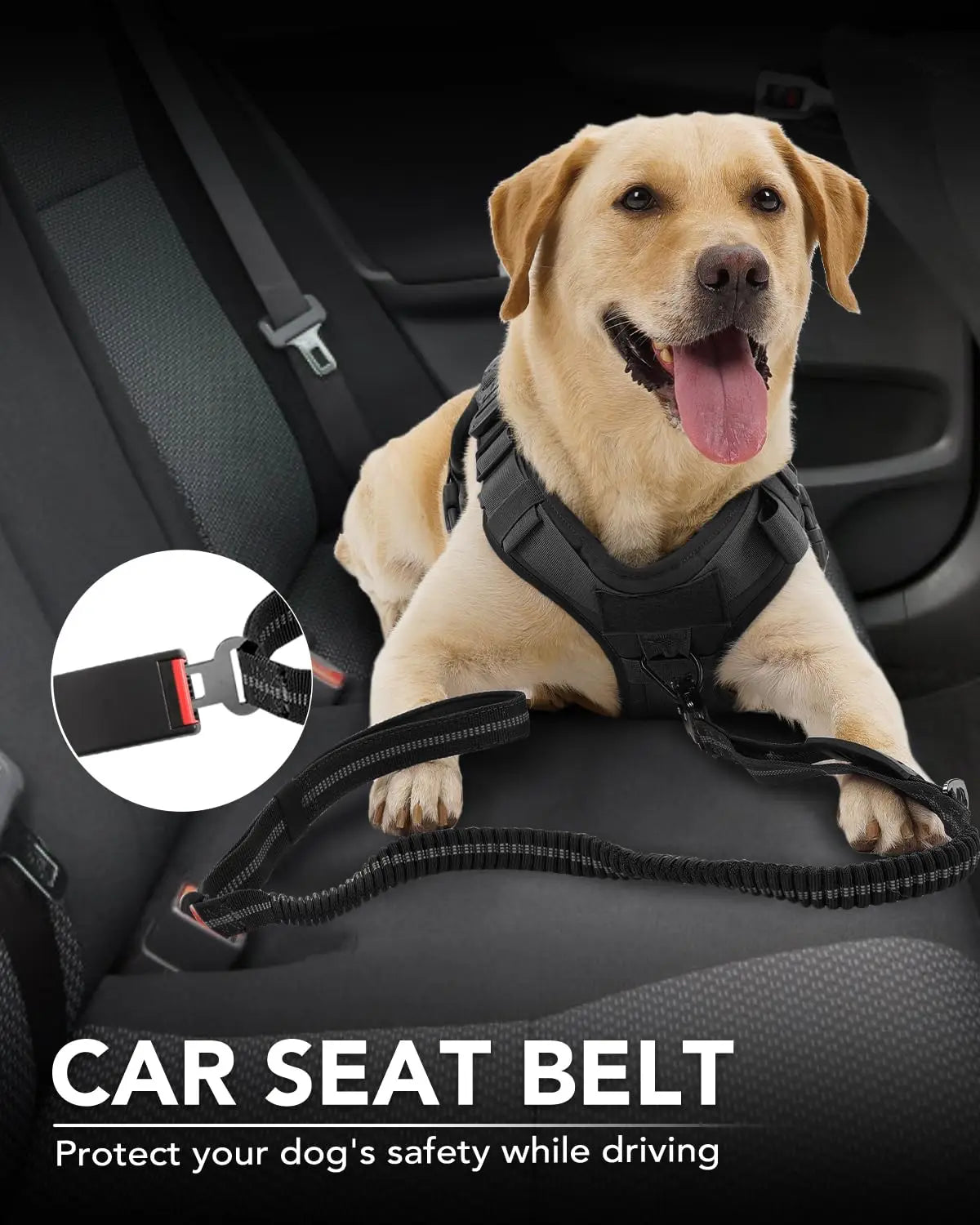Heavy Duty Dog Lead with Elastic Bungee for Medium & Large Dogs - Shock Absorption & Safety Clip Included