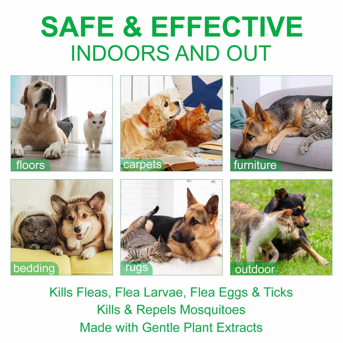 100ml Natural Pet Care Topical Flea & Tick Spray for Dog with Fresh Fragrance Peppermint Oil and Eugenol