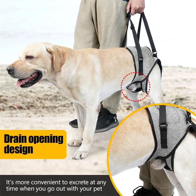Rear leg support harness Adjustable Dog Lift Harness, soft and padded