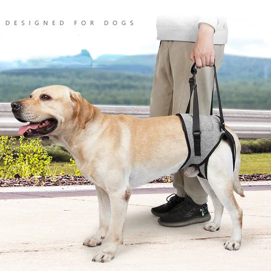 Rear leg support harness Adjustable Dog Lift Harness, soft and padded