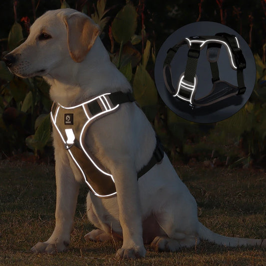 Reflective dog harness