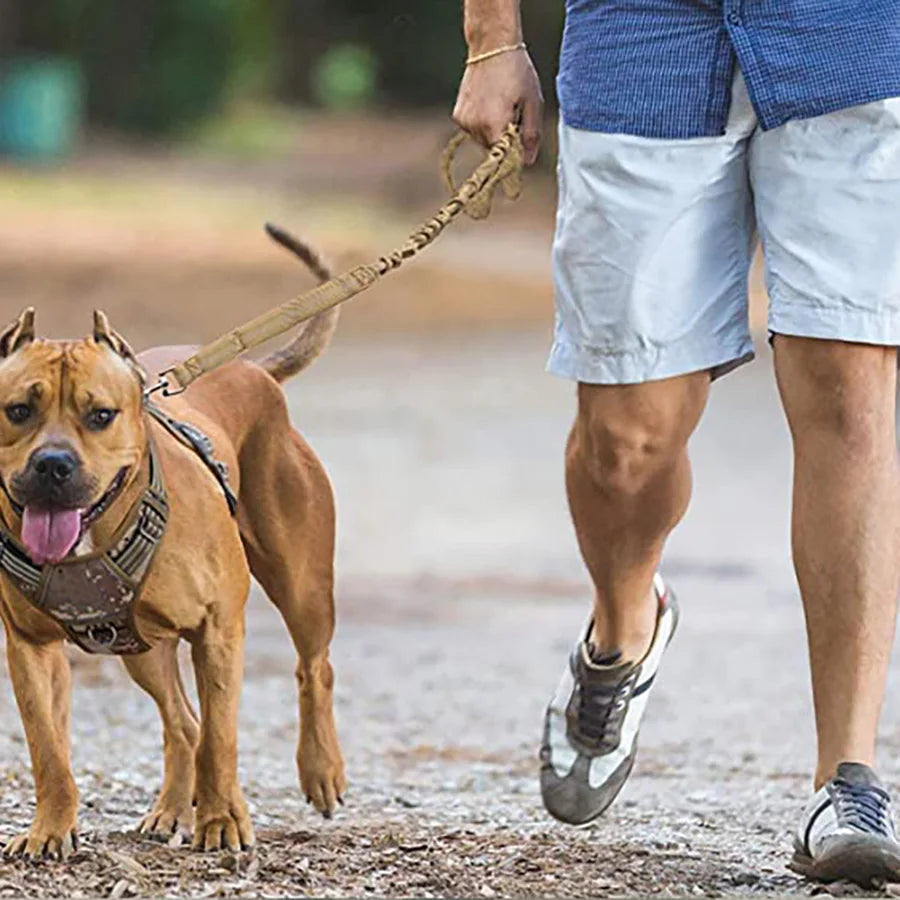 No Pull Dog Lead for Shock Absorption, Dog Training Lead