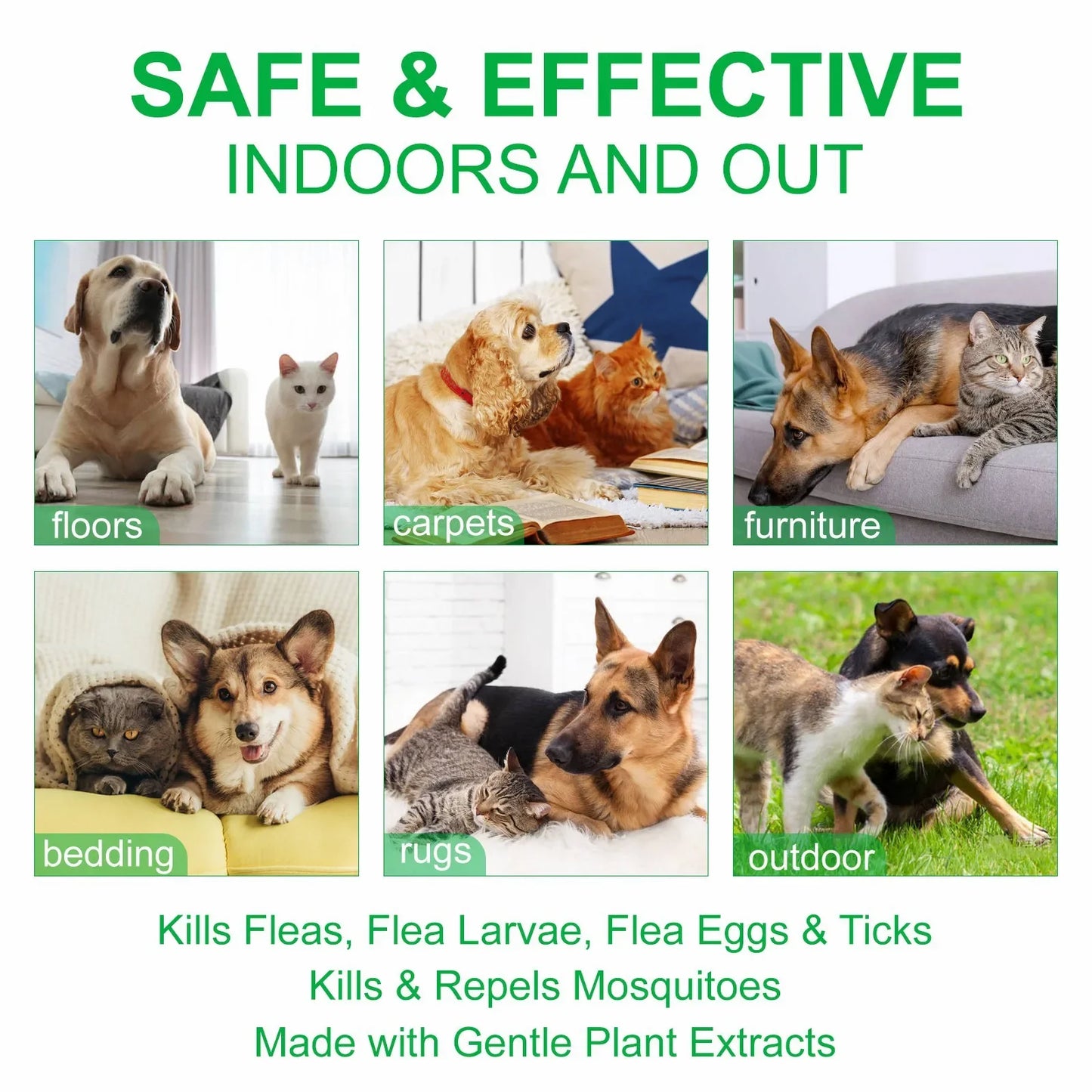 100ml Natural Pet Care Topical Flea & Tick Spray for Dog with Fresh Fragrance Peppermint Oil and Eugenol