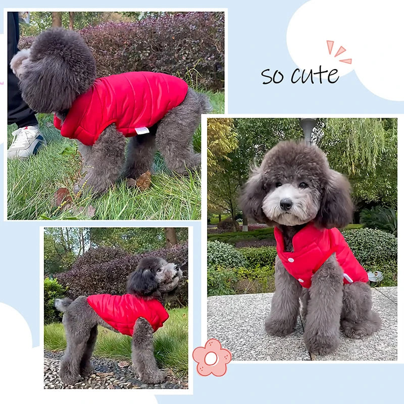Double Sided Dog Coat, Winter Body Warmer